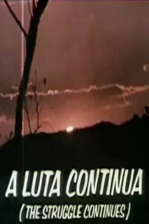 Poster for The Struggle Continues