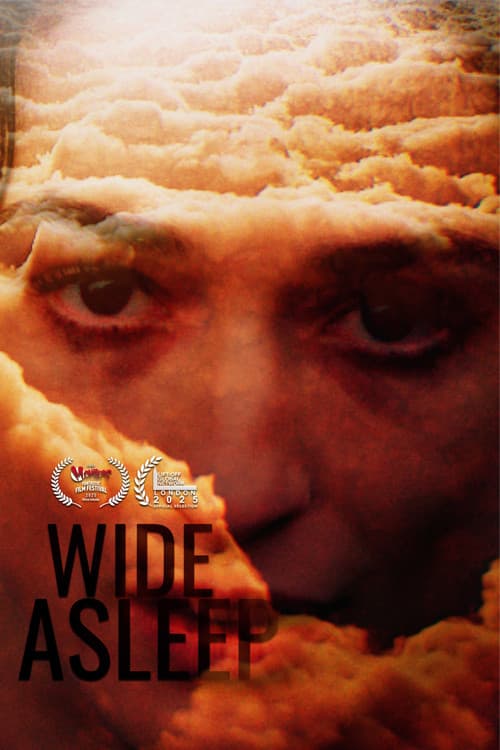 Poster for Wide Asleep
