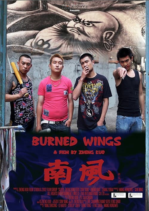 Poster for Burned Wings