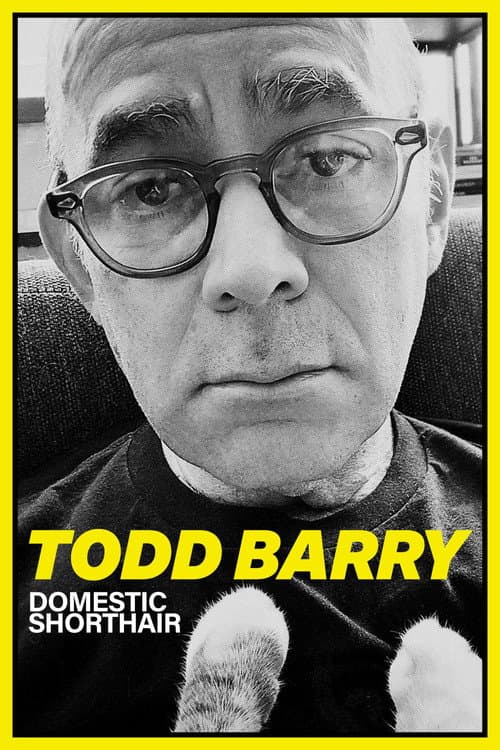 Poster for Todd Barry: Domestic Shorthair