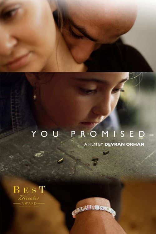 Poster for You Promised