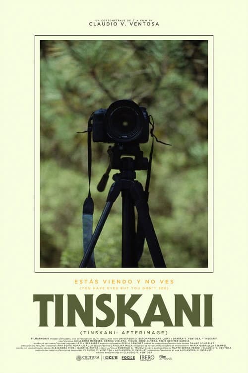 Poster for Tinskani: Afterimage