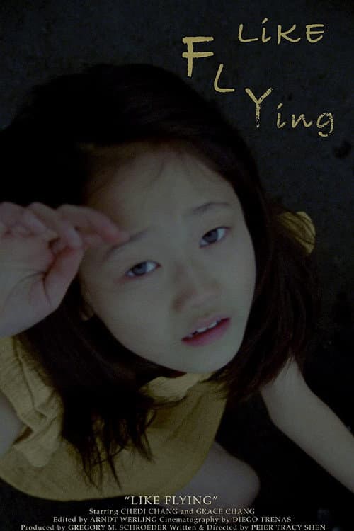 Poster for Like Flying
