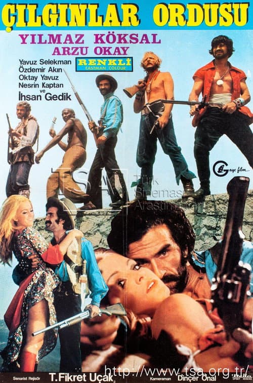 Poster for Çılgınlar Ordusu