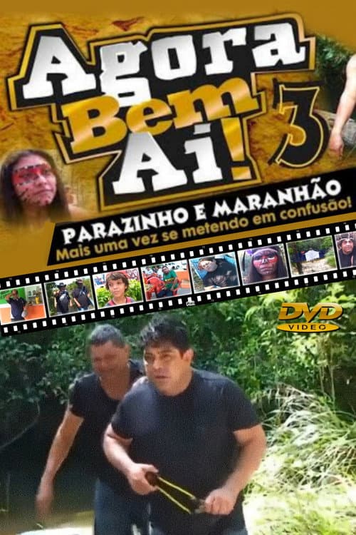 Poster for Agora Bem Ai! 3