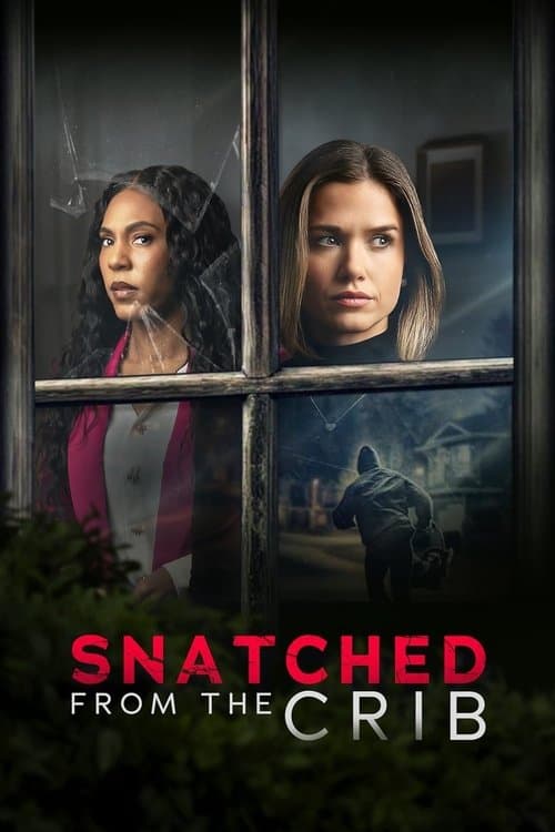 Poster for Snatched From The Crib