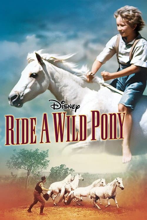Poster for Ride a Wild Pony