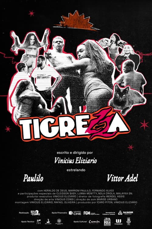 Poster for Tigrezza
