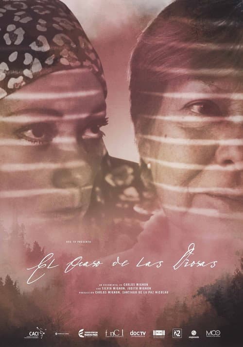 Poster for El ocaso de las diosas