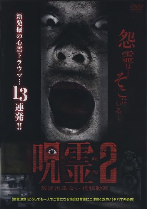 Poster for Submitted Ghost Videos That Cannot be Broadcast 2