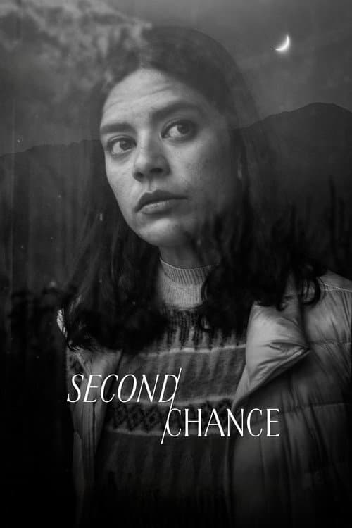 Poster for Second Chance