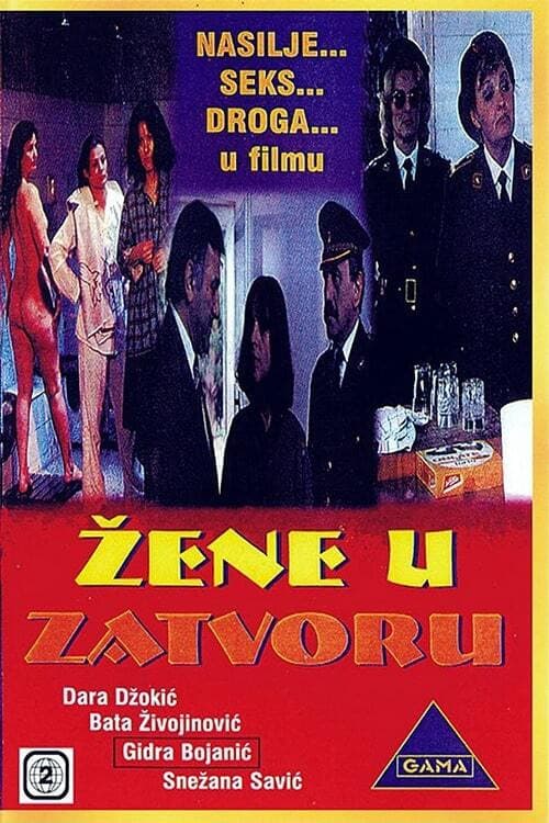Poster for Women in Prison
