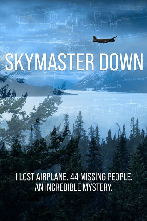 Poster for Skymaster Down