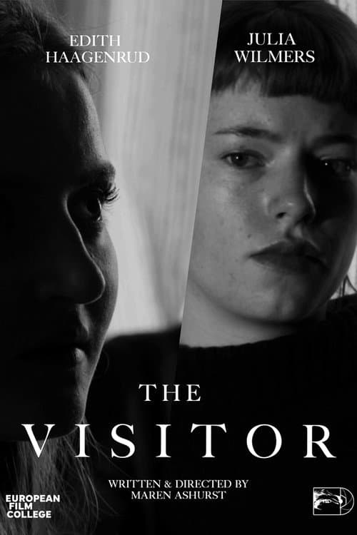Poster for The Visitor