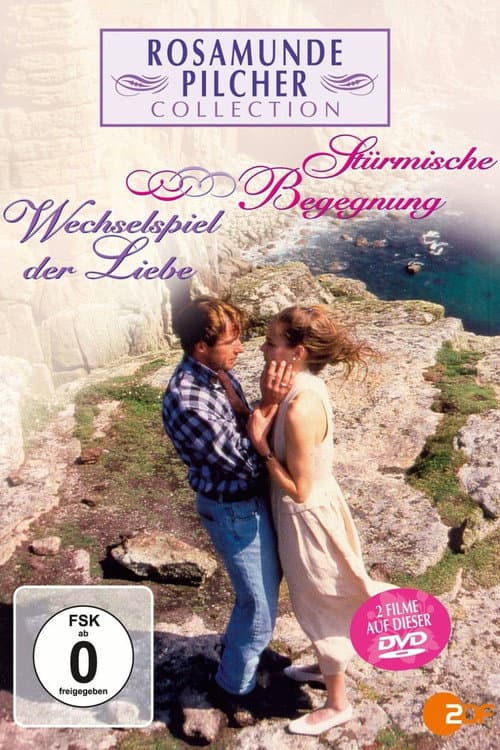 Poster for Rosamunde Pilcher: Stürmische Begegnung