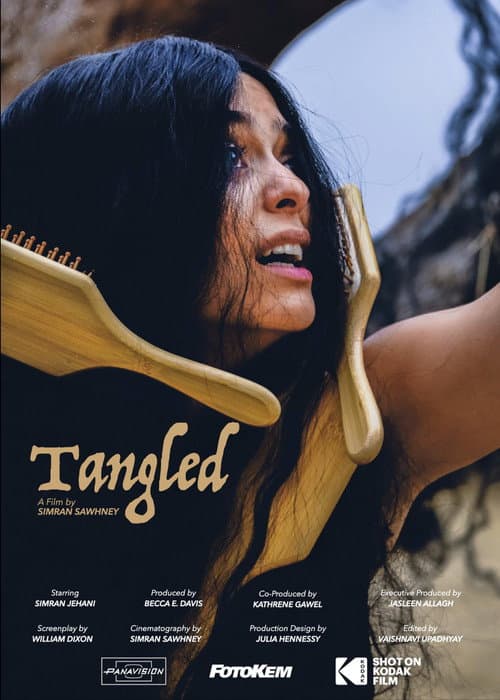 Poster for Tangled