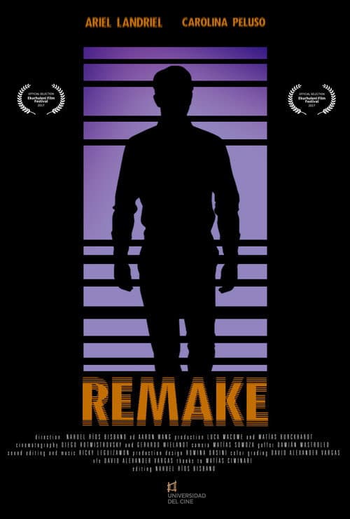 Poster for Remake