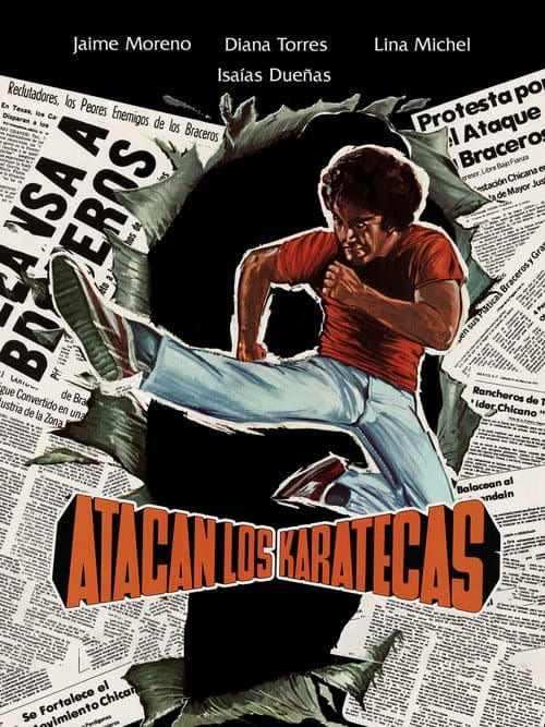 Poster for Atacan los karatecas