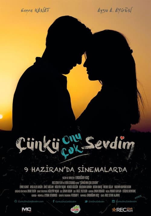 Poster for Çünkü Onu Çok Sevdim