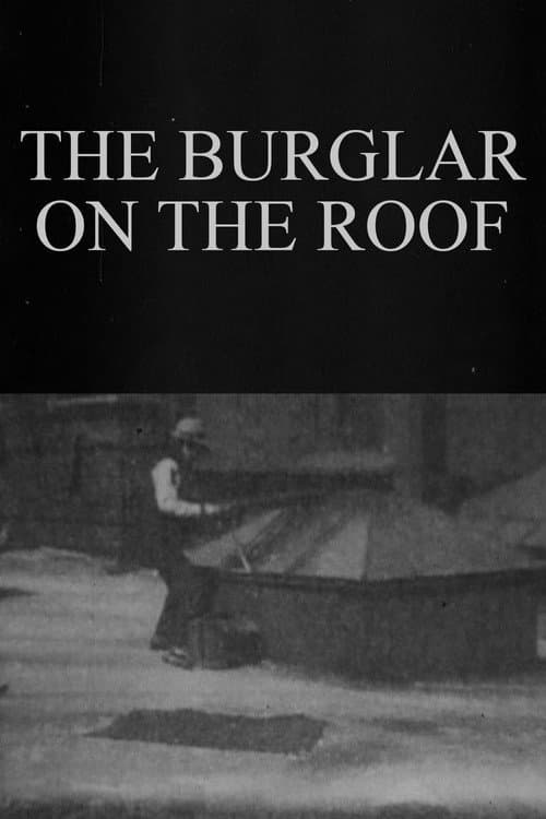 Poster for The Burglar on the Roof