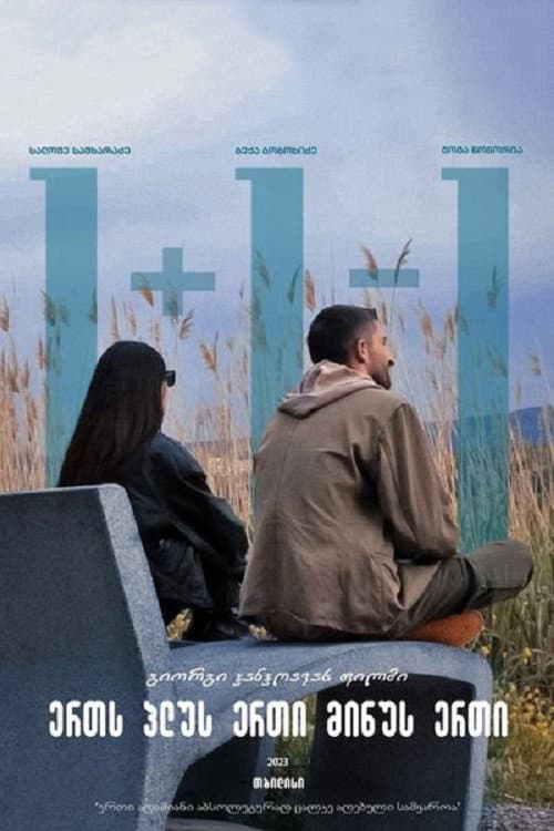 Poster for 1+1-1
