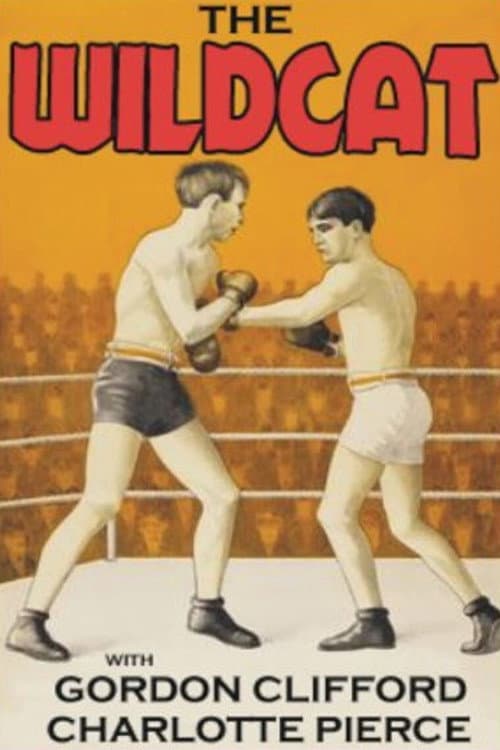 Poster for The Wildcat