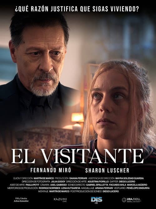 Poster for The visitor