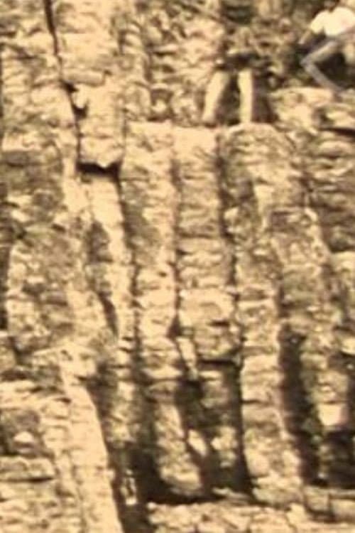 Poster for Het Bedrijf der Nederlandsche Basalt Maatschappij 'Zaandam' in Duitschland en Holland