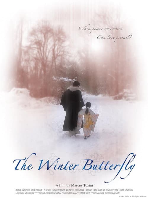 Poster for The Winter Butterfly