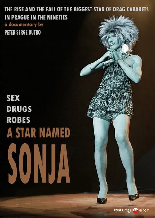Poster for A Star Named Sonja