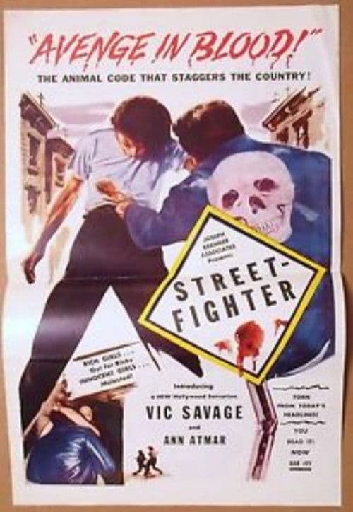 Poster for Street Fighter