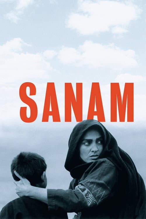 Poster for Sanam