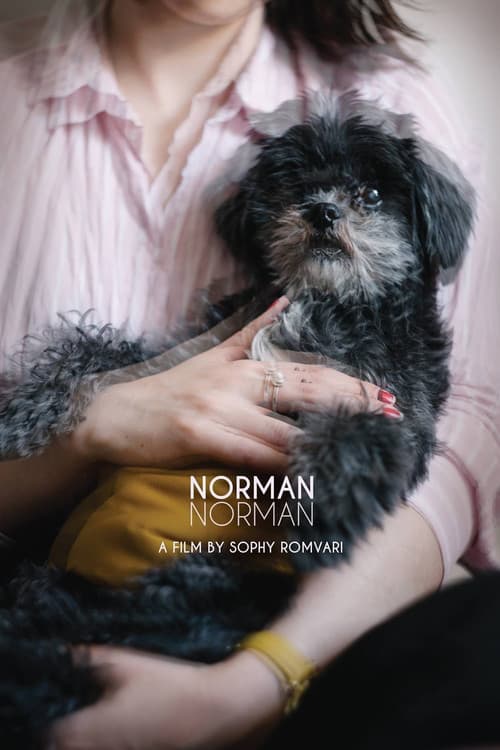 Poster for Norman Norman