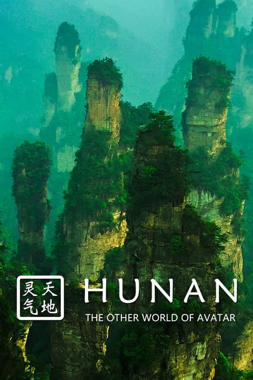 Poster for Hunan: The Other World of Avatar