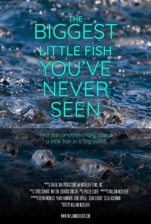Poster for The Biggest Little Fish You've Never Seen