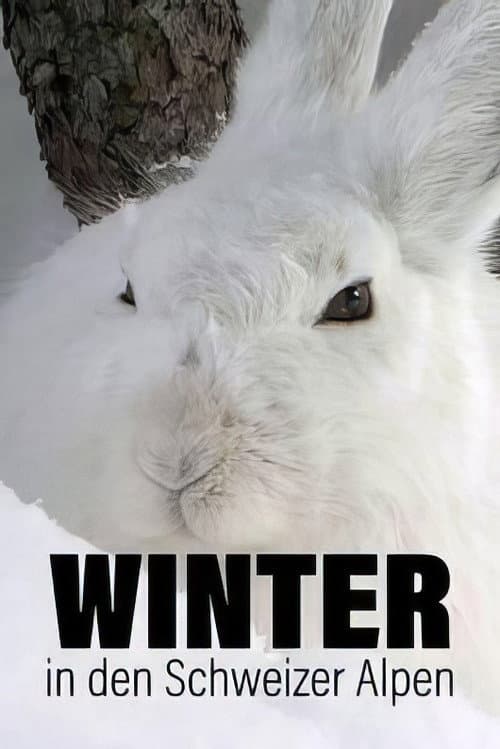 Poster for Winter in den Schweizer Alpen