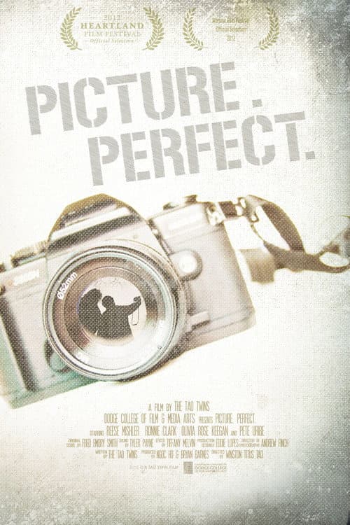 Poster for Picture. Perfect.