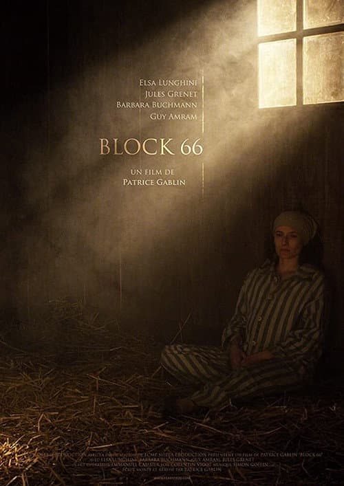 Poster for Block 66