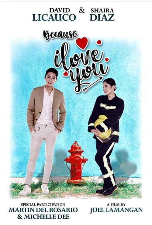 Poster for Because I Love You