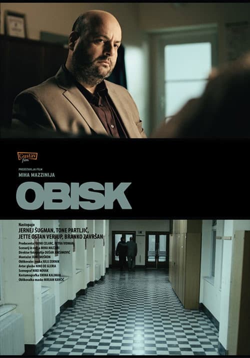 Poster for The Visit