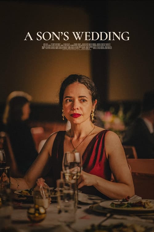 Poster for A Son's Wedding