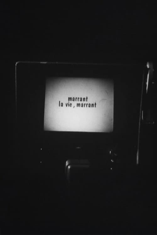 Poster for Marrant la vie, Marrant !