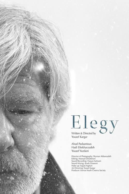 Poster for Elegy