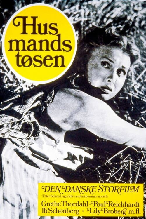 Poster for Husmandstøsen
