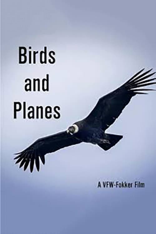 Poster for Birds and Planes