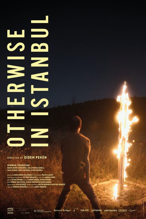Poster for Otherwise in Istanbul