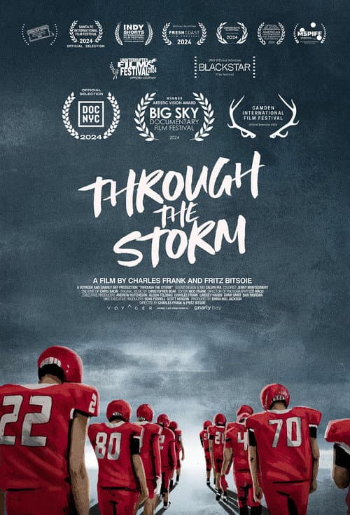 Poster for Through the Storm