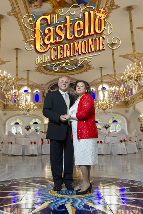 Poster for My Crazy Italian Wedding