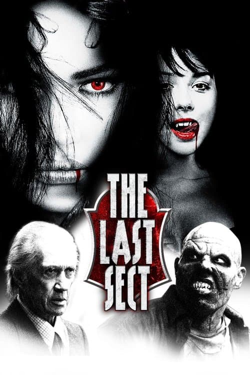 Poster for The Last Sect