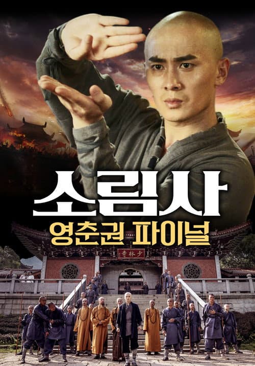 Poster for 南少林永春拳之突破重围